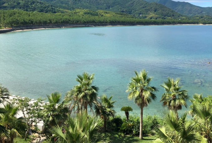 夏